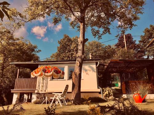 Kert, Szegfű33 Vendégház (Szegfu33 Vendeghaz) in Zebegény