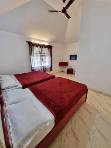 Royal mist in Ooty - Mysore