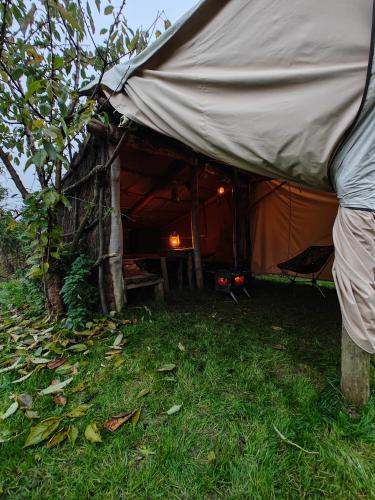 Au Pied Du Trieu, The Shelter 2