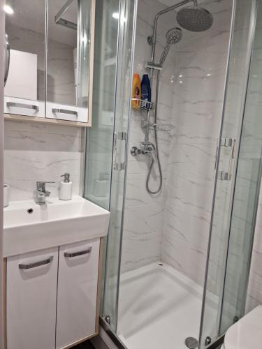 One-Bedroom Apartment image 10