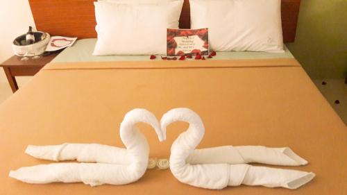 Coron Visitors Hotel Room Type - Superior King Room