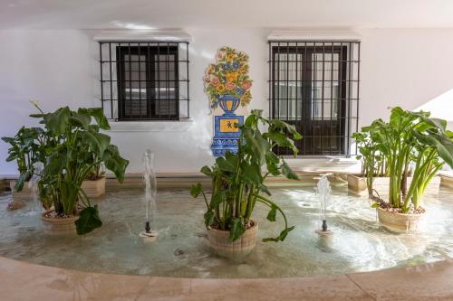 TODIMER REENCANTO in Velez de Benaudalla