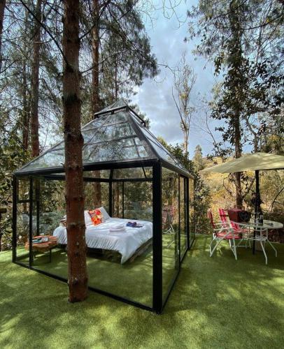 Glamping Ancestros Ecoparque