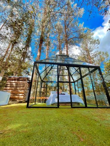 Glamping Ancestros Ecoparque