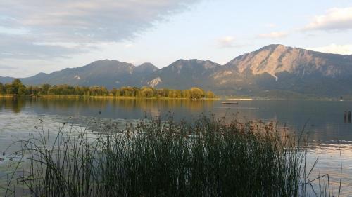 Aparthotel Alpenpark - image 3