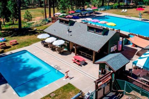 Under The Trees in Sonora