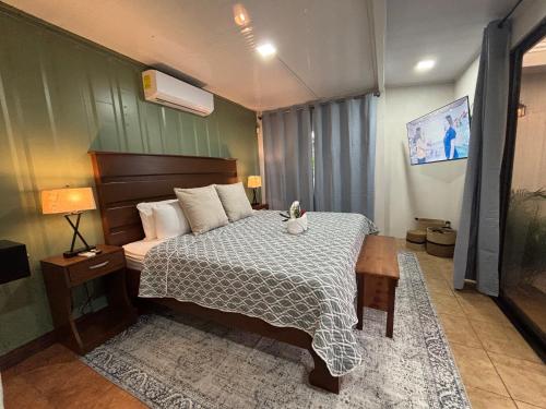 Arenal Homes La Fortuna, Fortuna (photo 3)