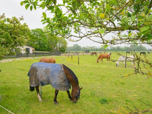Létesítmények, De Huismus in Vennewater