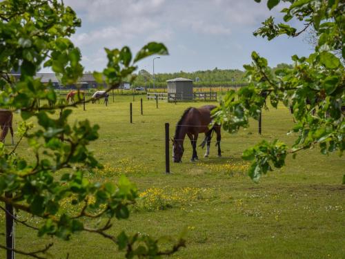 Kilátás, De Huismus in Vennewater
