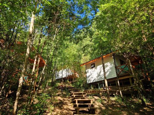 外部景觀, Ecos del Manantial in 比亞里卡市中心