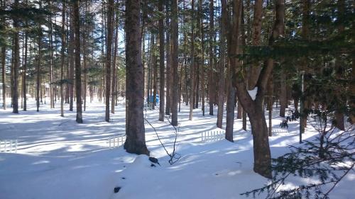 白燭葵膳食公寓酒店