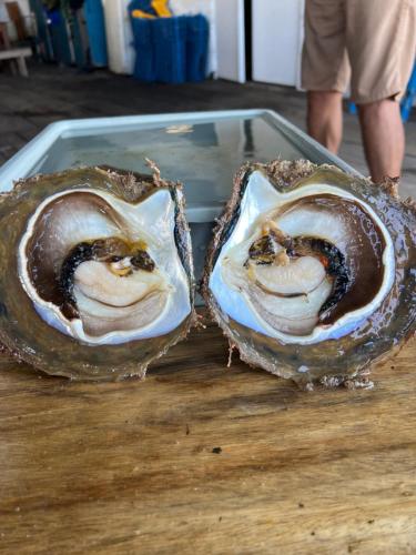 Programlehetőségek, Kaya Kirana Lembeh in Bitung