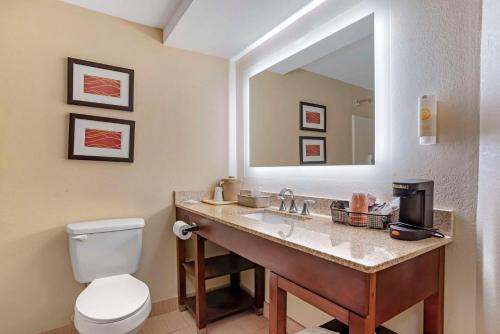Comfort Inn Opelika - Auburn - image 14