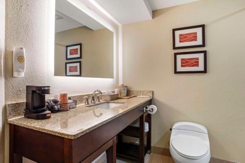 Comfort Inn Opelika - Auburn - main image