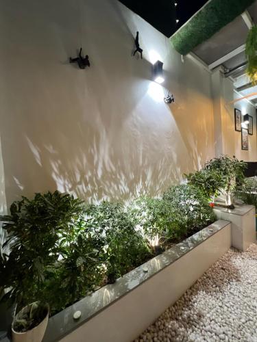 Penthouse by The Generations, Nowe Delhi (zdjęcie 6)