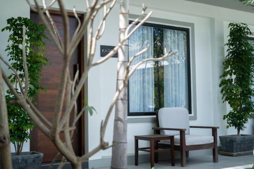 Apartment Green Amazon - image 5