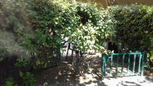Studio Jardinet in Lemasson