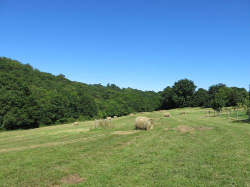 Domaine De Cimélia