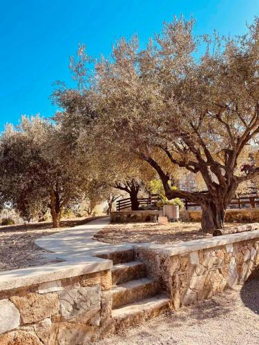 Thomas house Thomas house