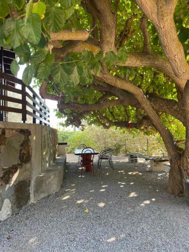 Thomas house Thomas house