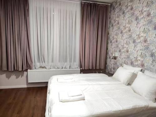 City Center location 1BR Apartment near Station!, Amberes (foto 2)