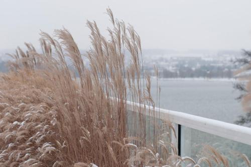 Photo - RIVA - Das Hotel am Bodensee