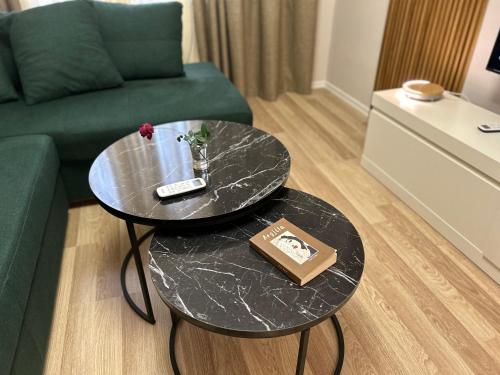Spacious Fancy Apartment, Tirana (photo 3)