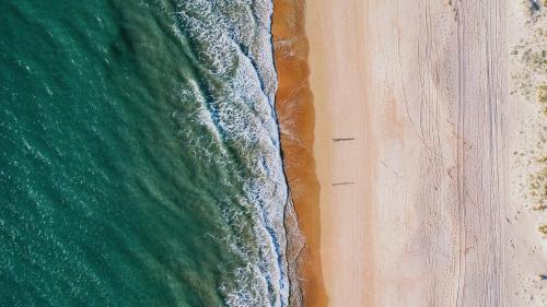 Trafalgar Polo Club - image 5