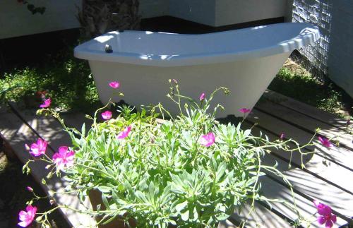 Alternative Space B & B, Swakopmund (foto 7)