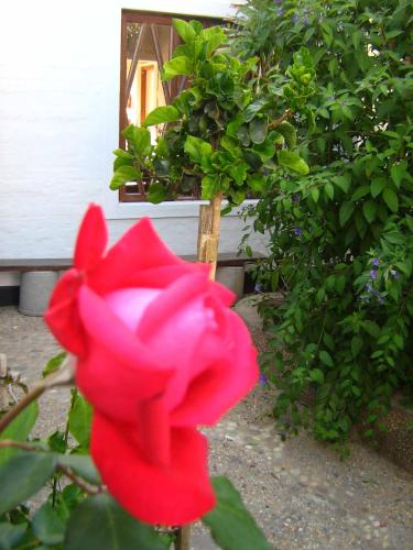 Alternative Space B & B, Swakopmund (foto 10)