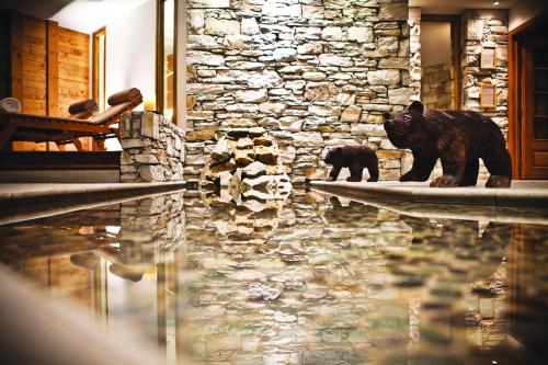 62473639 Hôtel Les Barmes De l'Ours