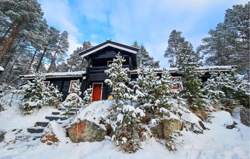 Viesnīcas āriene, Amazing Home In Hovet With Sauna in Skoro