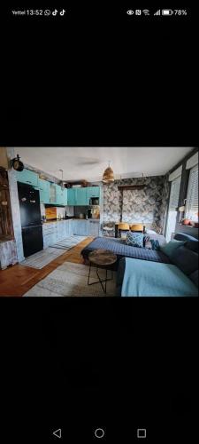 Apartment Fruska view