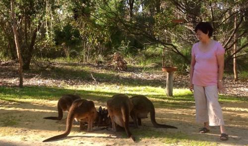 Yelverton Brook Conservation Sanctuary Margaret River Australia