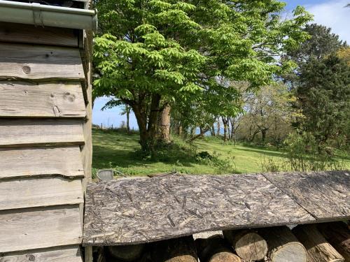 Bream Barn - sea view, woodburner, easy walk to the beach, parking, full kitchen, Falmouth (foto 7)