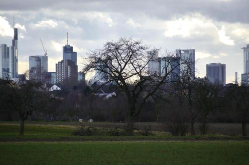Frankfurt Bed & Breakfast - image 11