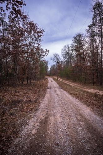 Gorgeous Modern Chalet In The Woods