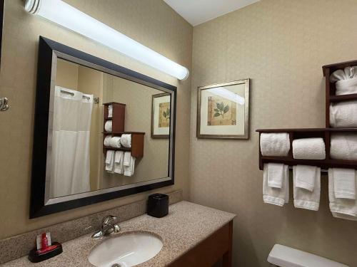 Hampton Inn Decatur/Forsyth - image 11