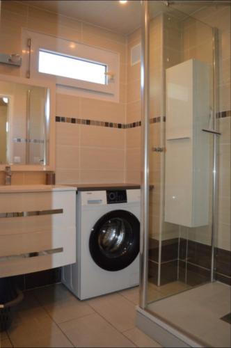 Two-Bedroom Apartment image 6