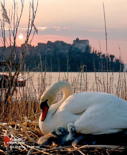  Apartment Luna, Pension in Anguillara Sabazia bei Olgiata