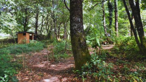 Chambre scandinave dans un parc forestier Chambre scandinave dans un parc forestier