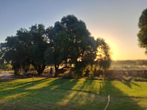 . Mount Gerizim Farm