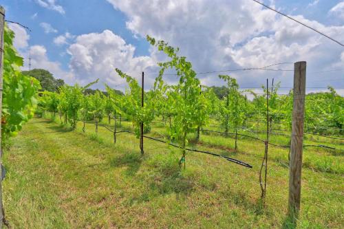 Fall Creek Vineyards Wine Country Inn - main image