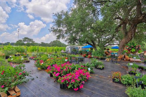 Fall Creek Vineyards Wine Country Inn – Dripping Springs, TX