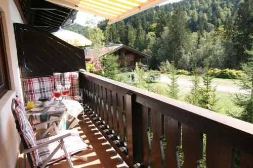 Alpendohle in Reit im Winkl, Deutschland
