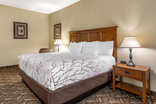 1 king bed