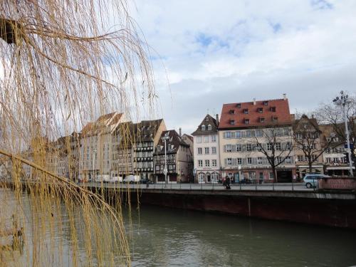 A L'ill - Apparts & Studios Strasbourg Hyper Centre, Strasbourg (photo 5)