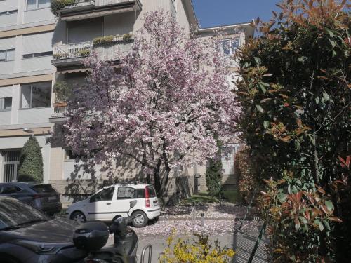 Garden Flat, Milan (photo 4)