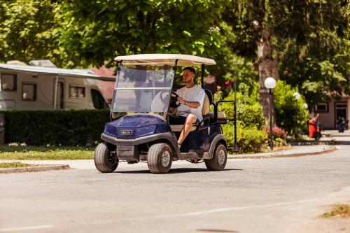 Ljubljana Resort Hotel & Camping - image 5