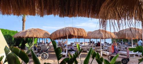 Ocean Solana Apartment in Sharm Hills